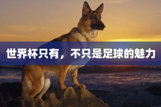 世界杯只有，不只是足球的魅力吉安市靖泰电力工程有限公司
