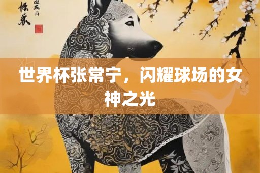 世界杯张常宁，吉安市靖泰电力工程有限公司闪耀球场的女神之光