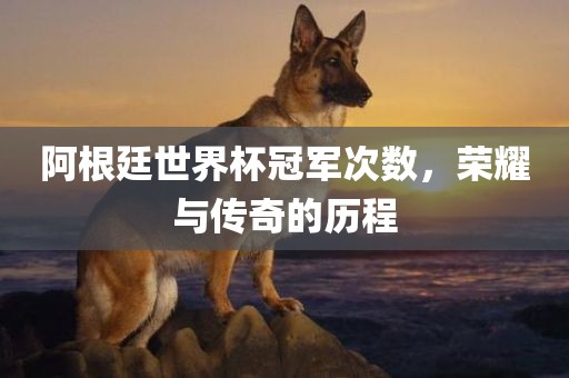 阿根廷世界杯冠军次数，荣耀与传奇的历程吉安市靖泰电力工程有限公司