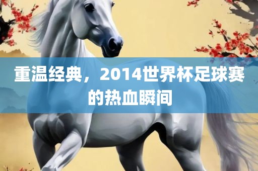 重温经典，2014世界杯足球赛的热血瞬间