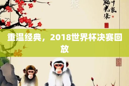 重温经典，2018世界杯决赛回放
