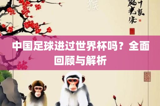 中国足球进过世界杯吗？全面回顾与解析