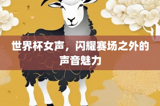 世界杯女声，闪耀赛场之外的声音魅力吉安市靖泰电力工程有限公司