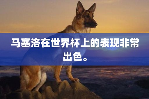 马塞洛在世界杯上的表现非常出色。
