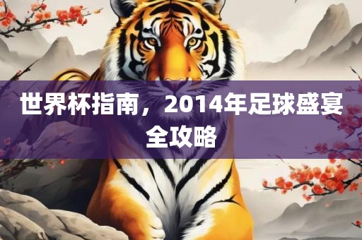 世界杯指南，2014年足球盛宴全攻略