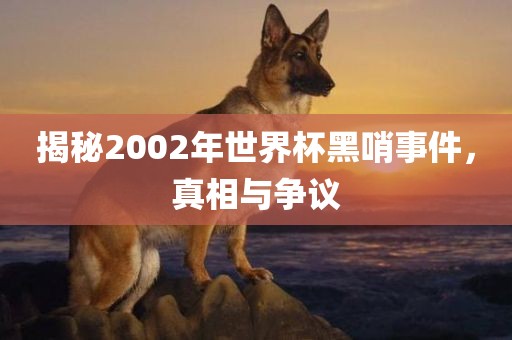 揭秘2002年世界杯黑哨事件，真相与争议吉安市靖泰电力工程有限公司