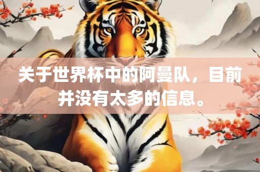 关于世界杯中的阿曼吉安市靖泰电力工程有限公司队，目前并没有太多的信息。