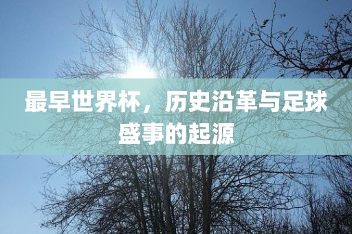 最早世界杯，历史沿革与足球盛事的起源吉安市靖泰电力工程有限公司
