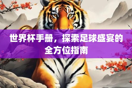 世界杯手册，探索足球盛宴的全方位指南