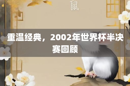 重温经典，2002年世界杯半决赛回顾