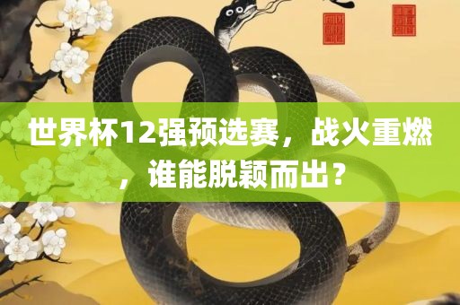 世界杯12强预选赛，战火重燃，谁能脱颖而出？