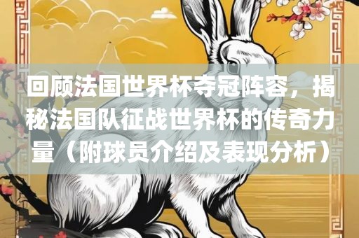 回顾法国世界杯夺冠阵容，揭秘法国队征战世界杯的传奇力量（附球员介绍及表现分析）吉安市靖泰电力工程有限公司