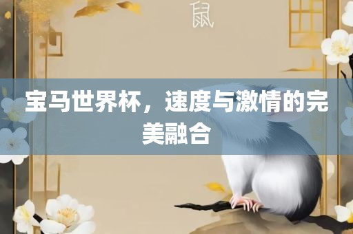 宝马世界杯，速度与激情的完美融合