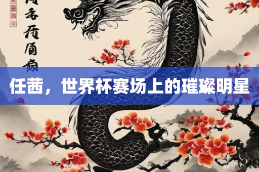 任茜，世界杯赛场上的璀璨明星