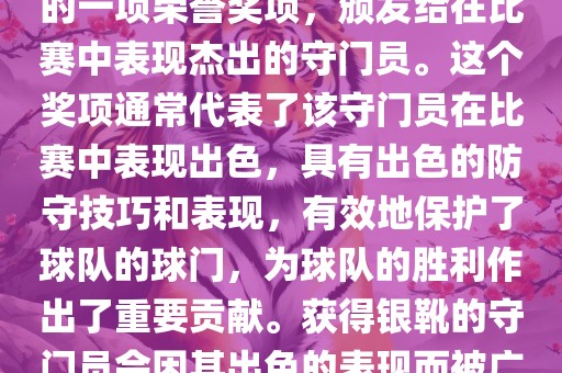 世界杯银靴是世界杯足球赛中的一项荣誉奖项，颁发给在比赛中表现杰出的守门员。这个奖项通常代表了该守门员在比赛中表现出色，具有出色的防守技巧和表现，有效地保护了球队的球门，为球队的胜利作出了重要贡献。获得银靴的守门员会因其出色的表现而被广泛认可和赞誉。
