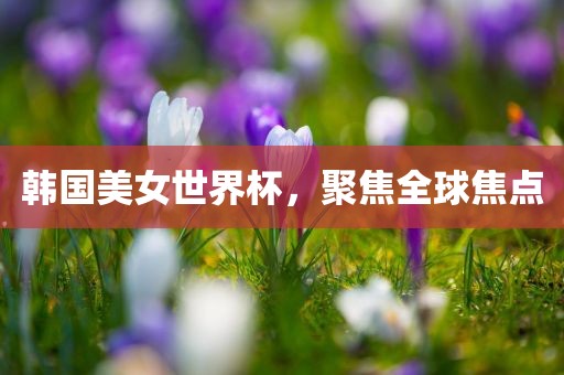 韩国美女世界杯，聚焦全球焦点