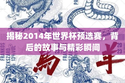 揭秘2014年世界杯预选赛，背后的故事与精彩瞬间