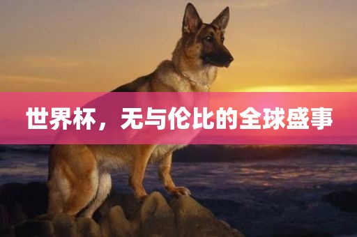 世界杯，无与伦比的全球盛事
