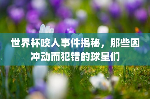 世界杯咬人事件揭秘，那些因冲动而犯错的球星们