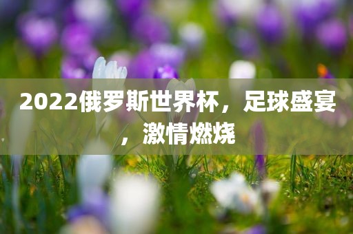 2022俄罗斯世界杯，足球盛宴，激情燃烧