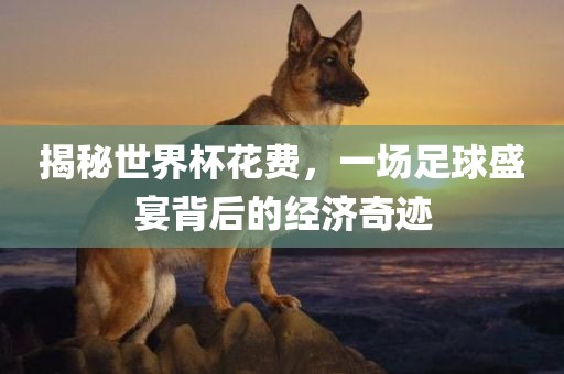 揭秘世界杯花费，一场足球盛宴背后的经济奇迹吉安市靖泰电力工程有限公司