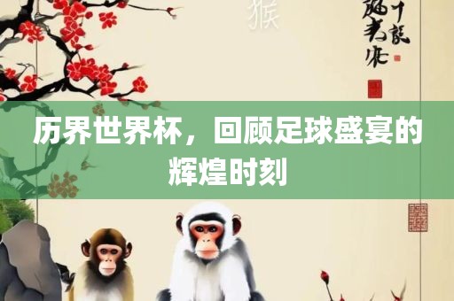 历界世界杯，回顾足球盛宴的辉煌时刻