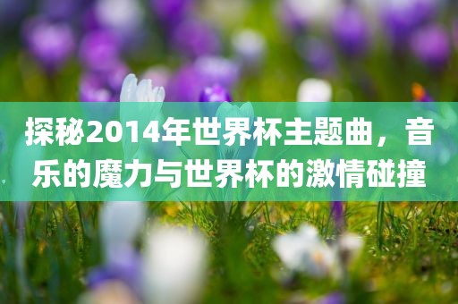 探秘2014年世界杯主题曲，音乐的魔力与世界杯的激情碰撞