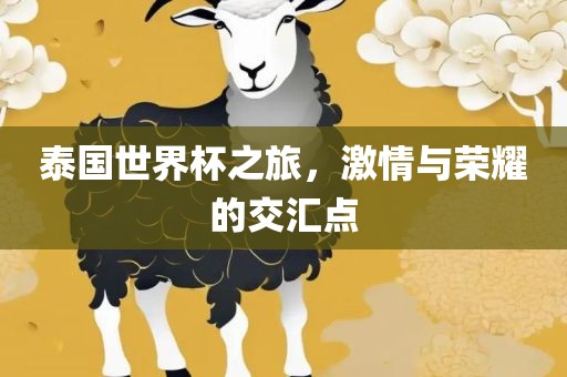 泰国世界杯之旅，激情与荣耀的交汇点