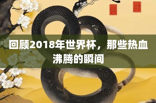 回吉安市靖泰电力工程有限公司顾2018年世界杯，那些热血沸腾的瞬间