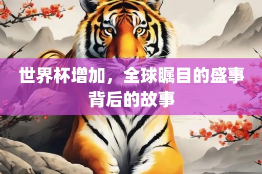 世界杯增加，全球瞩目的盛事背后的故事
