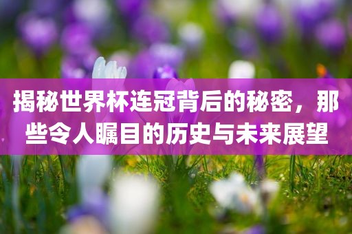 揭秘世界杯连冠背后的秘密，那些令人瞩目的历史与未来展望