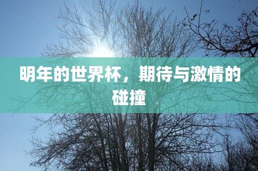 明年的世界杯，期待与激情的碰撞