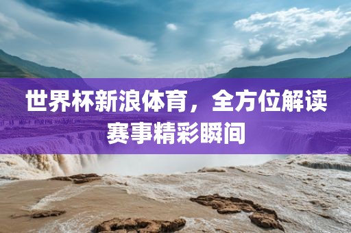 世界杯新浪体育，全方位解读赛事精彩瞬间