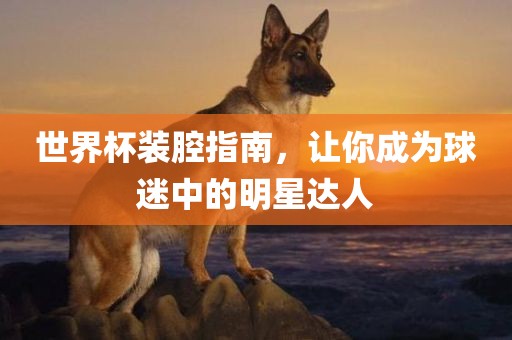 世界杯装腔指南，让你成为球迷中的明星达人