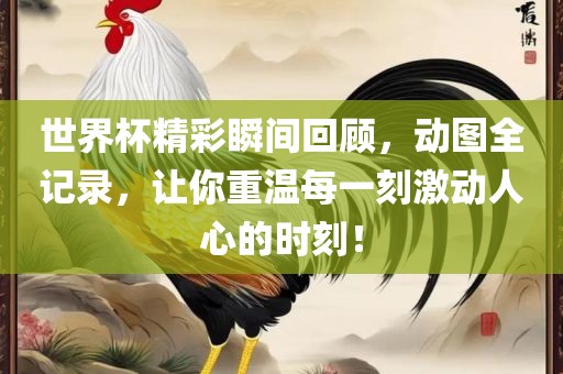 世界杯精彩瞬间回顾，动图全记录，让你重温每一刻激动人心的时刻！