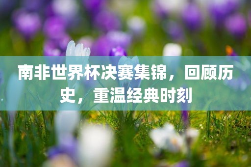 南非世界杯决赛集锦，回顾历史，重温经典时刻