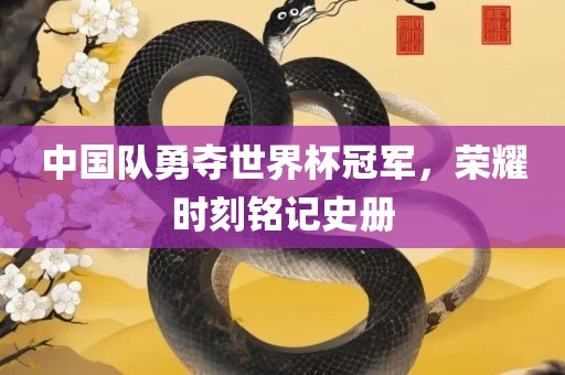 中国队勇夺世界杯冠军，荣耀时刻铭记史册