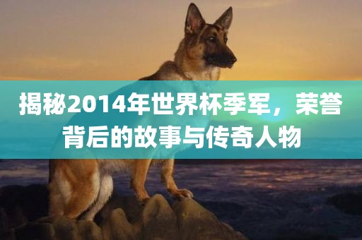 揭秘2014年世界杯季军，荣誉背后的故事与传奇人物