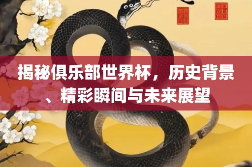 揭秘俱乐部世界杯，历史背景、精彩瞬间与未来展望