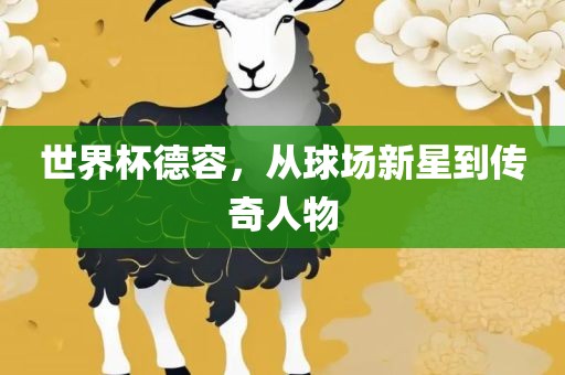 世界杯德容，从球场新星到传奇人物