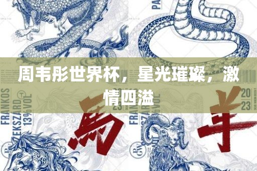 周韦彤世界杯，星光璀璨，激情四溢