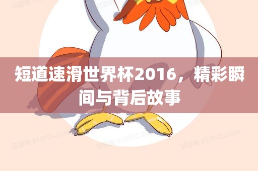 短道速滑世界杯2016，精彩瞬间与背后故事