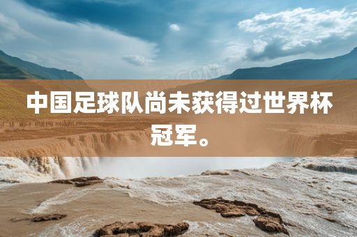 中国足球队尚未获得过世界杯冠军。