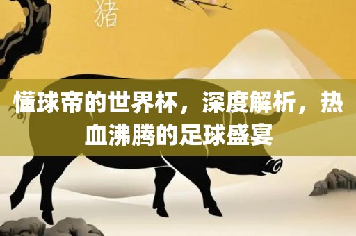 懂球帝的世界杯，深度解析，热血沸腾的足球盛宴