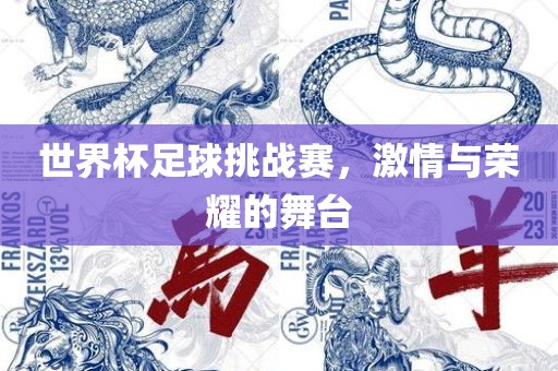 世界杯足球挑战赛，激情与荣耀的舞台