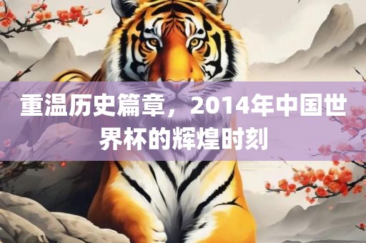 重温历史篇章，2014年中国世界杯的辉煌时刻