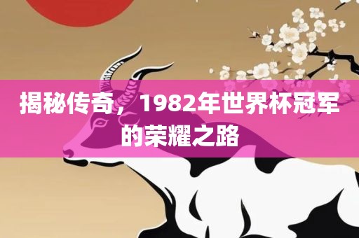 揭秘传奇，1982年世界杯冠军的荣耀之路