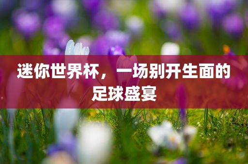 迷你世界杯，一场别开生面的足球盛宴