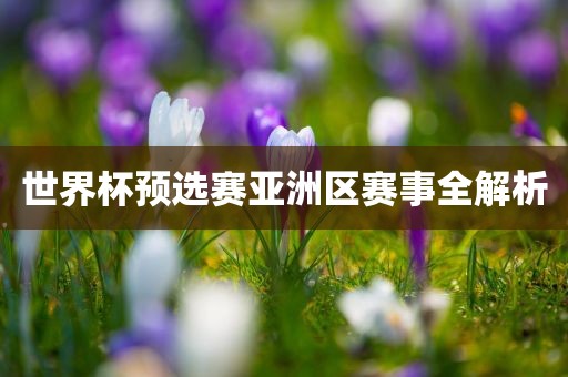 世界杯预选赛亚洲区赛事全解析