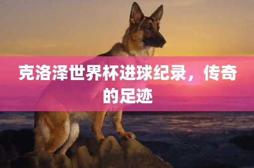 克洛泽世界杯进球纪录，传奇的足迹